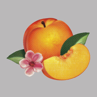 Illustration for article titled Phoenix announces new record, due out April 23